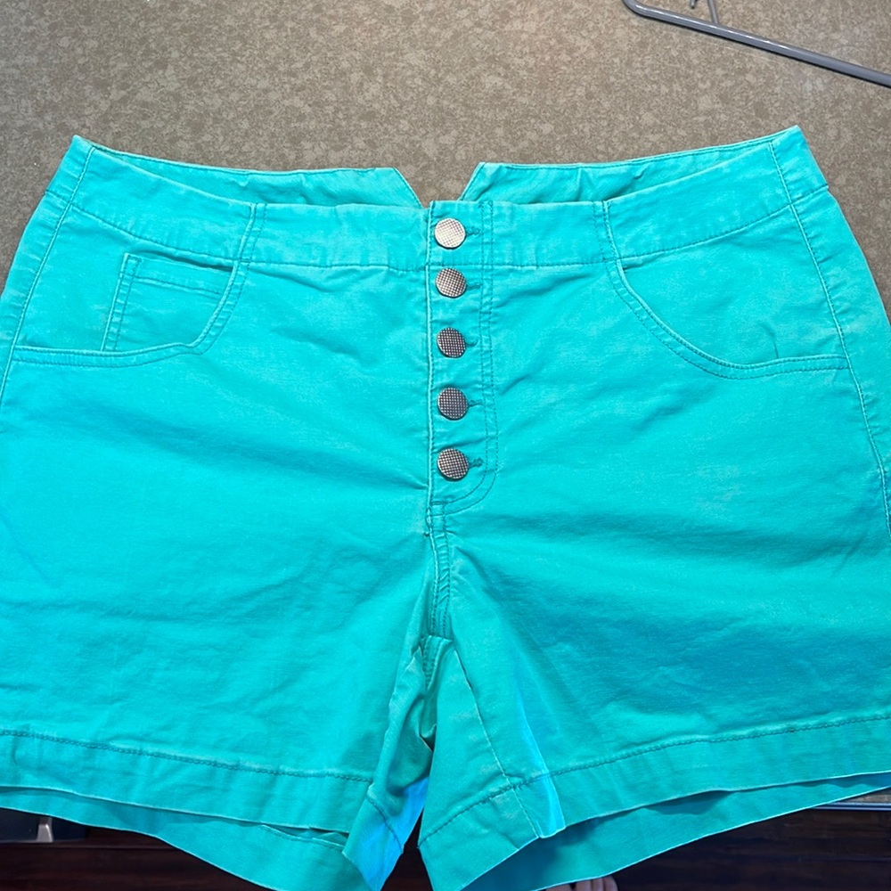 Cabi Size 12 turquoise shorts